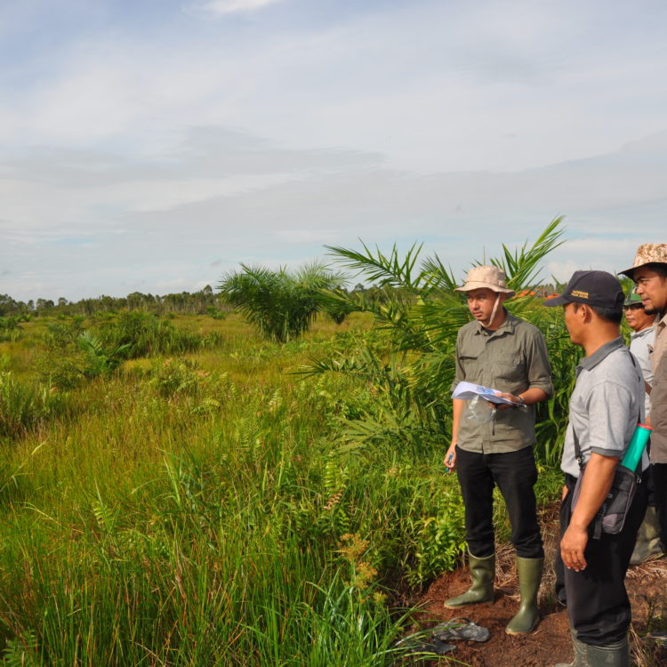 Sulung Research Station;