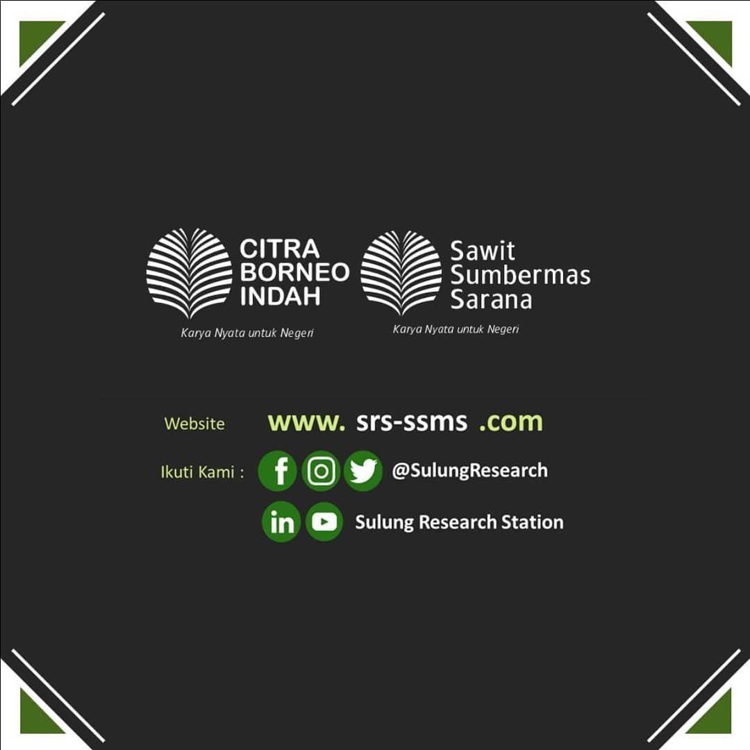 Sulung; Research; SulungResearchStation; Minyak; Sawit; Citraborneo; Industri; Pertanian; Palmoil; CPO; Penelitian;