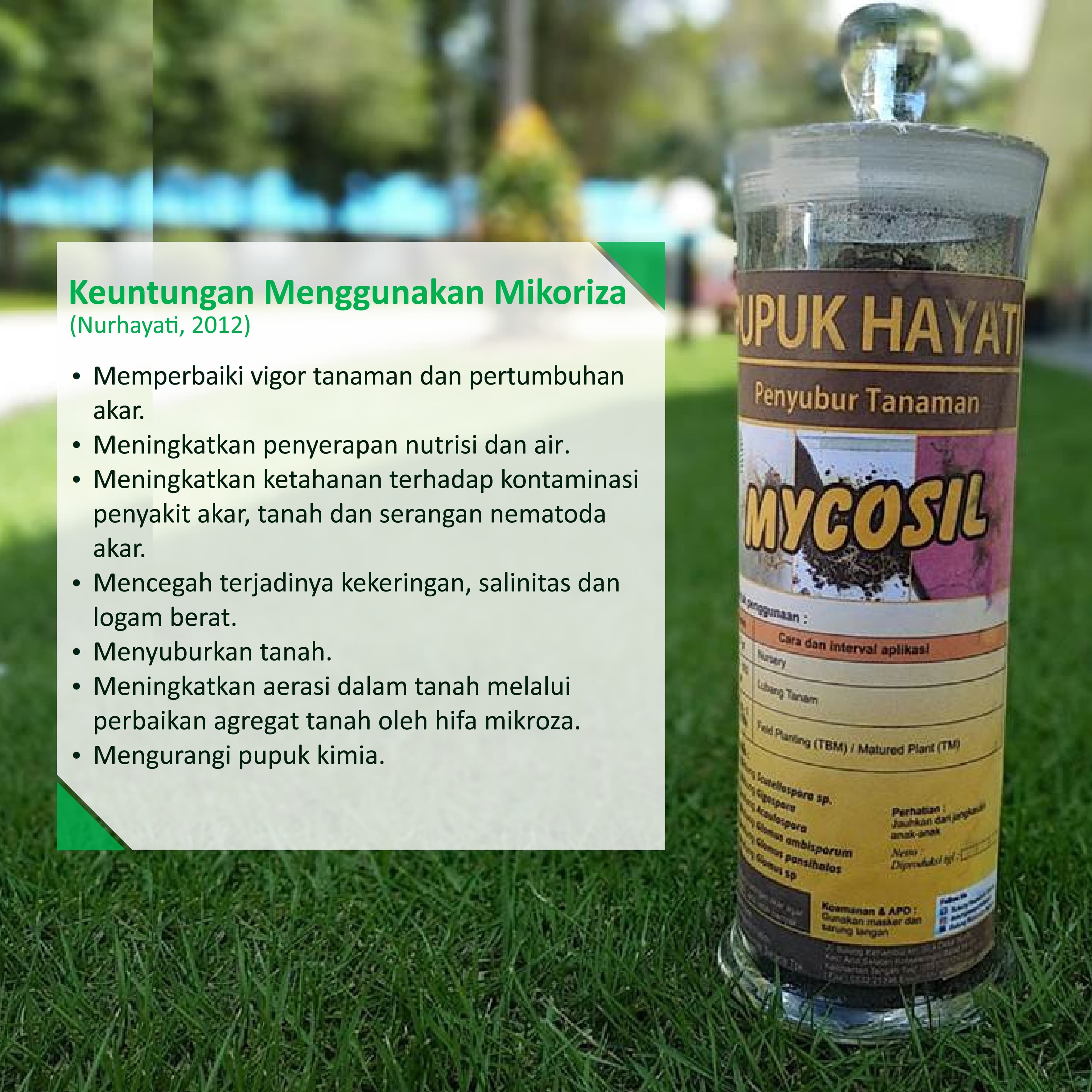 sulung research station;