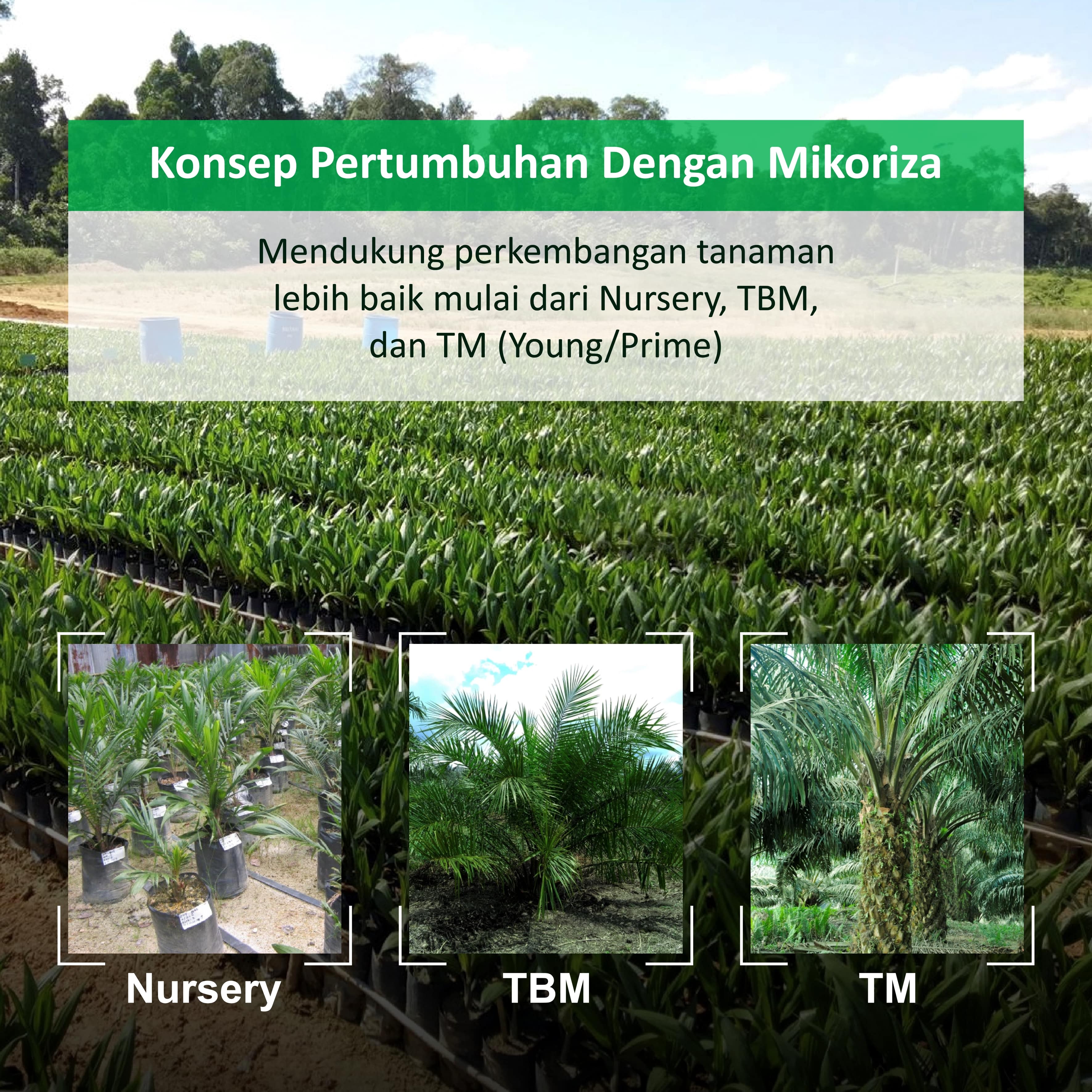 sulung research station;