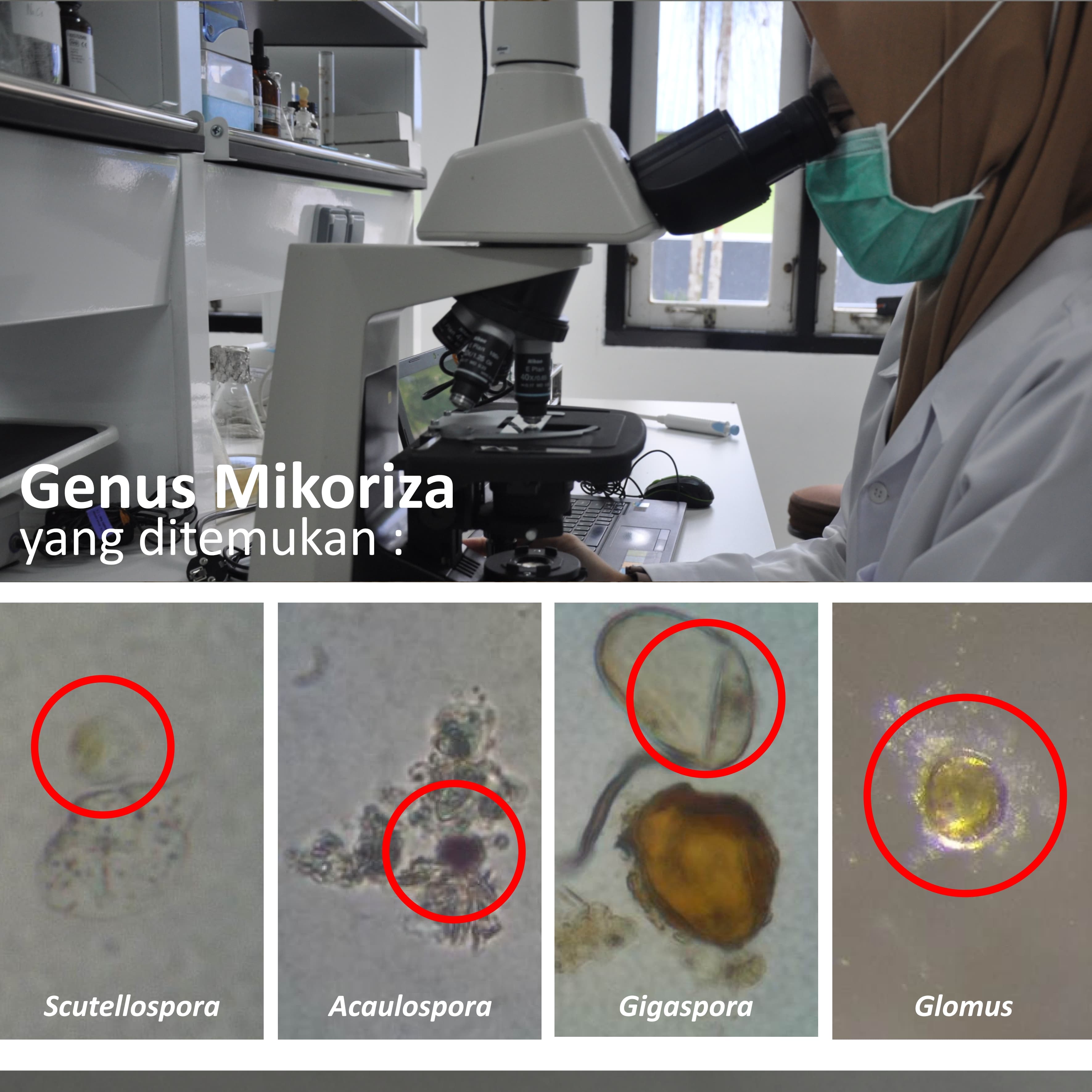 sulung research station;